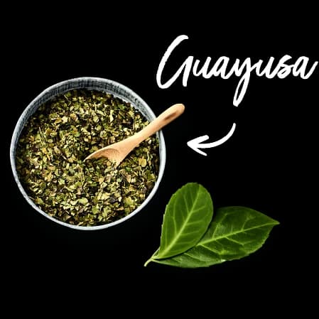 Guayusa