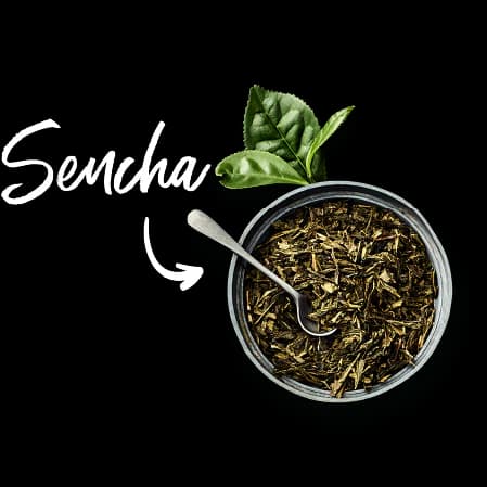 Sencha