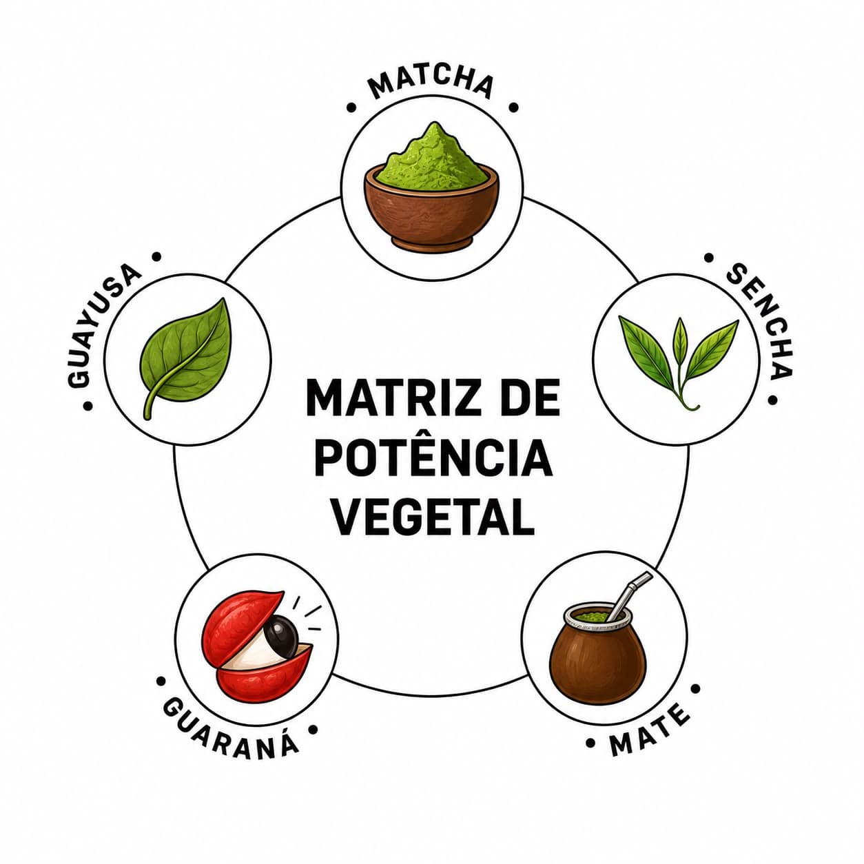 Matriz de poder vegetal — matcha, sencha, mate, guaraná e guayusa