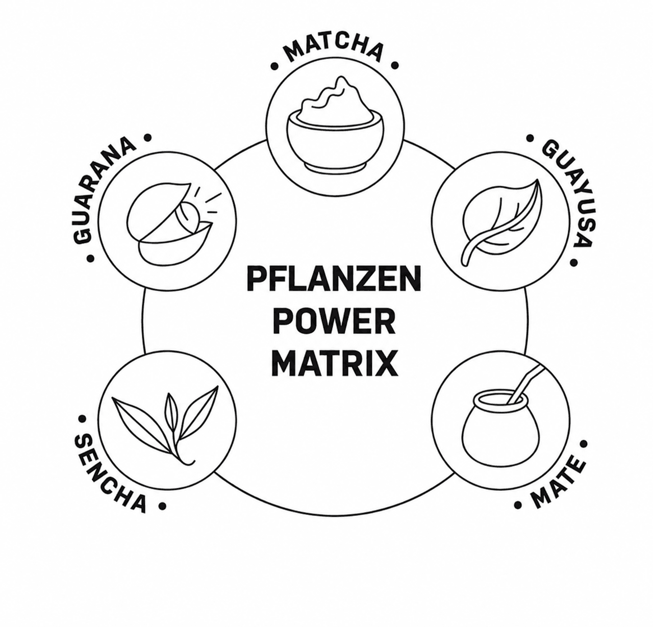 Matriz de poder vegetal — matcha, mate, sencha e guaraná